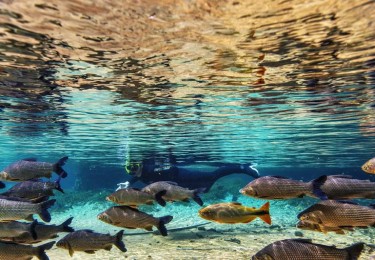 Foto: Recanto Ecológico Rio da Prata / Marcio Cabral