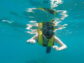 guia de snorkeling responsável