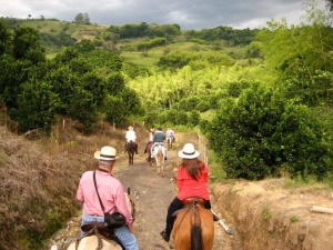 operadoras de turismo sustentável