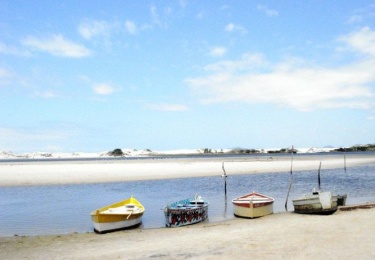 Foto: Raízes