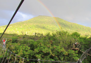 Foto: Parque das Laranjeiras