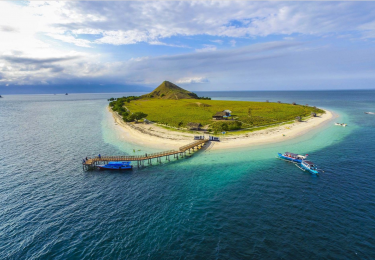 Foto: Raditya Maulana | The Coral Triangle