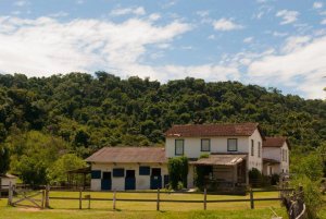 Foto: Hotel Fazenda Galo Vermelho