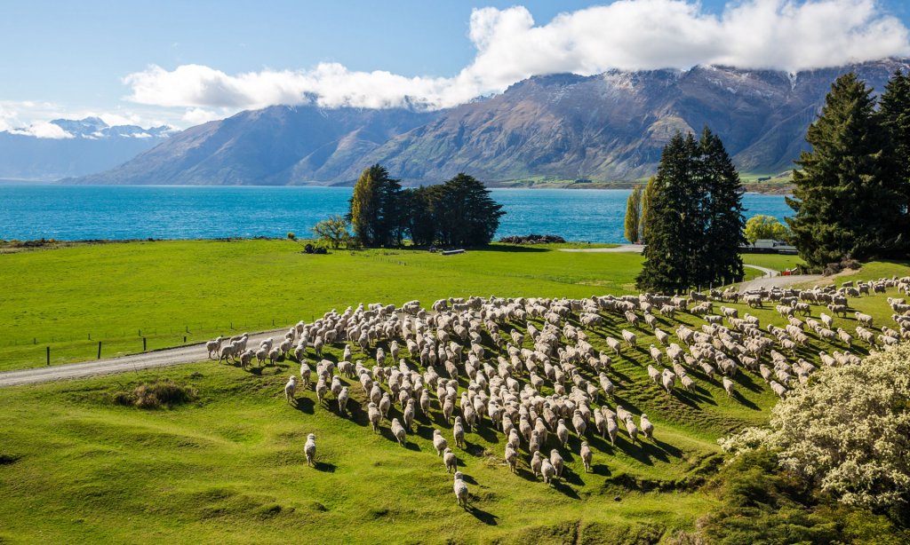 Foto: Southern Discoveries | Tourism New Zealand