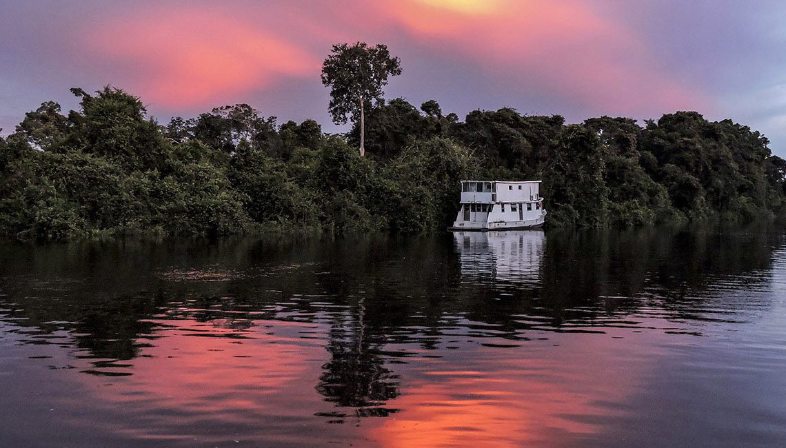 Sustentabilidade com o Google: ajudando a preservar a Amazônia e a