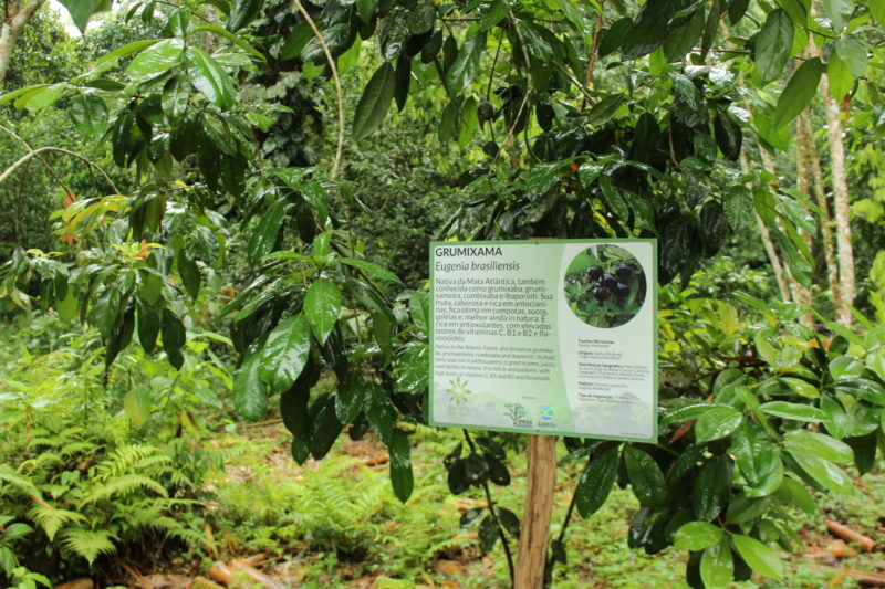trilha educativa Banana Bamboo Ecolodge