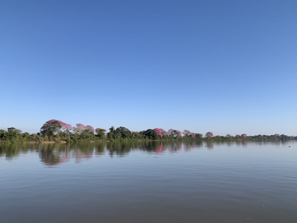 Corumbá Pantanal