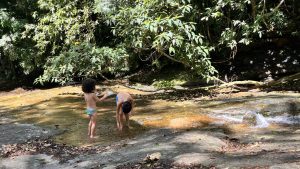 benefícios da natureza