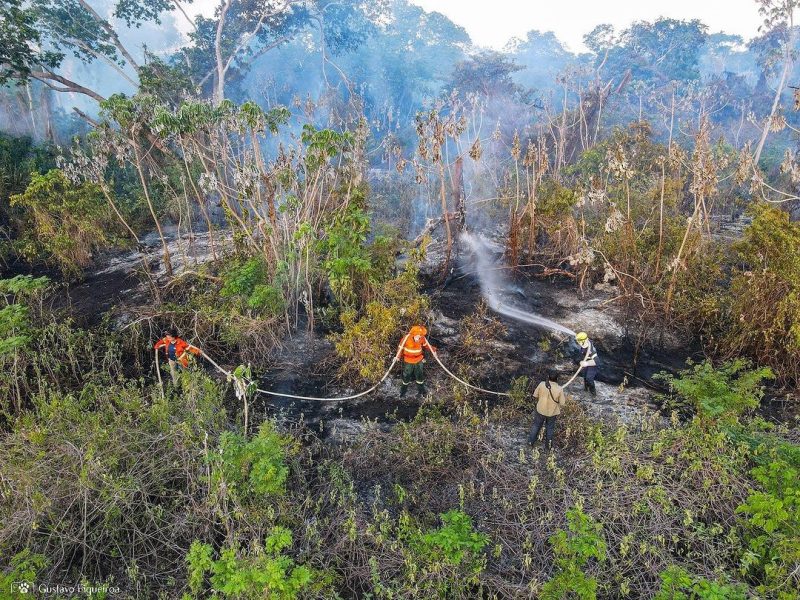 Incêndios no Pantanal em 2023