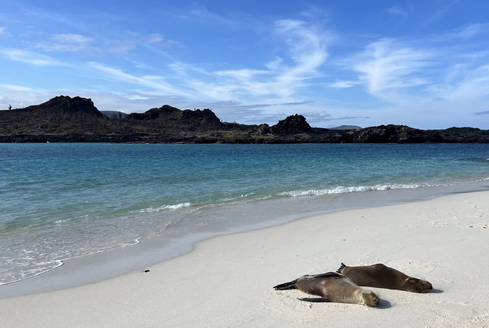 Ilhas Galápagos roteiro