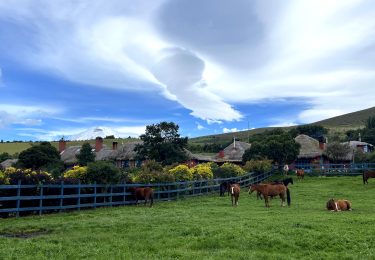 Parque Nacional Cotopaxi Hacienda El Porvenir