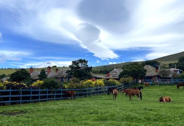 Parque Nacional Cotopaxi Hacienda El Porvenir