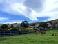 Parque Nacional Cotopaxi Hacienda El Porvenir