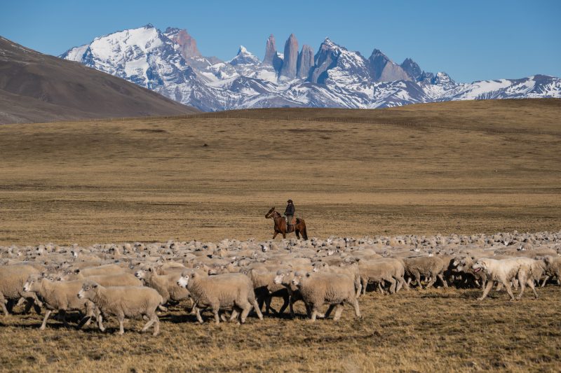 Estancia Cerro Guido
