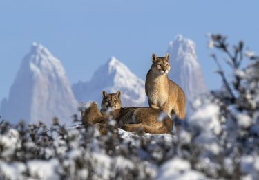 Fundación Cerro Guido