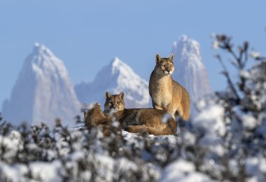 Fundación Cerro Guido