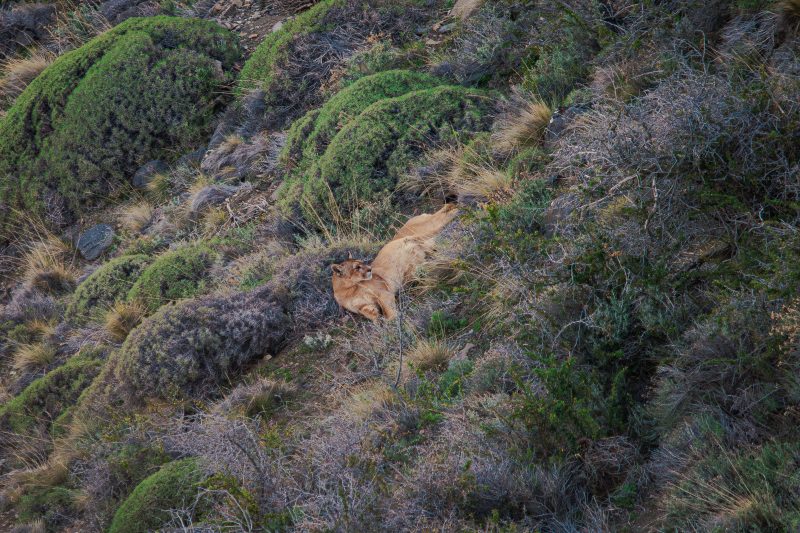 Fundación Cerro Guido