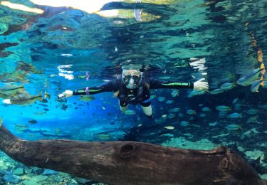 Recanto Ecológico Rio da Prata