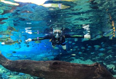 Recanto Ecológico Rio da Prata