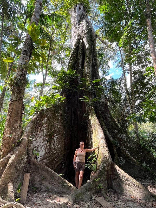 COP30 turismo regenerativo