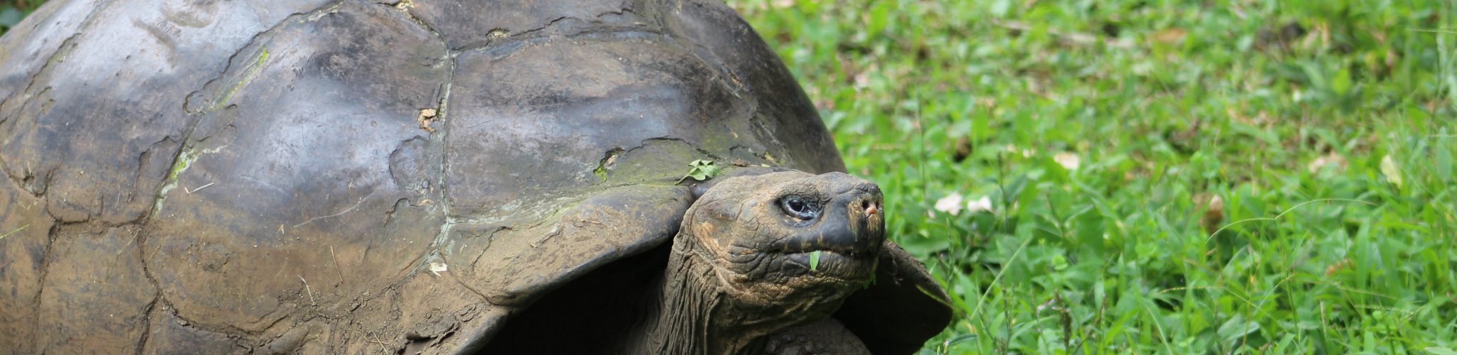 Viagem para Galápagos