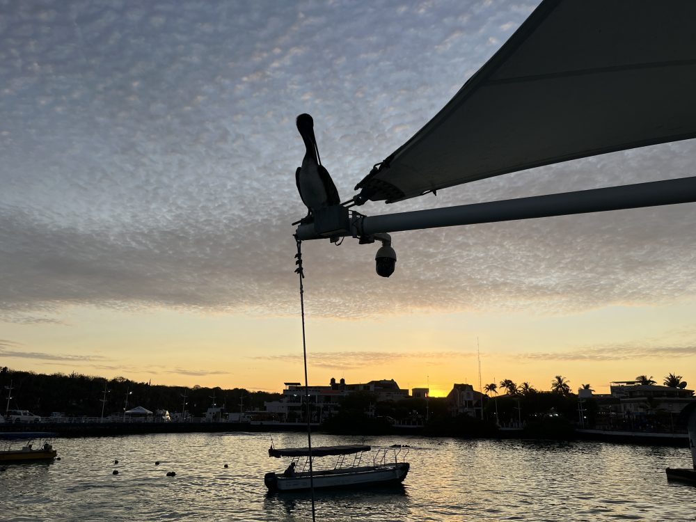 Viagem para Galápagos