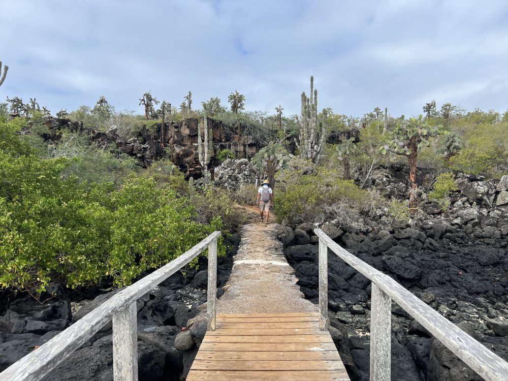 Viagem para Galápagos