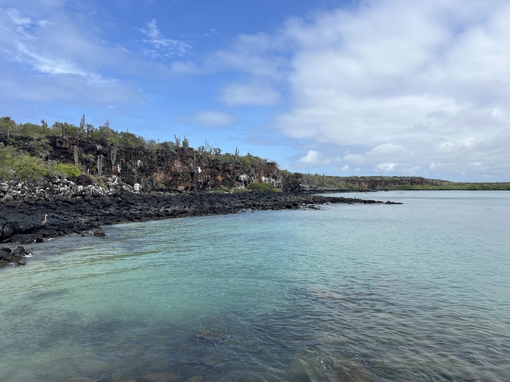 Baía Academia, Ilha Santa Cruz
