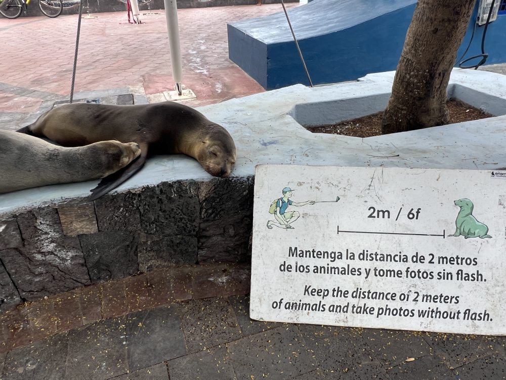 Viagem para Galápagos