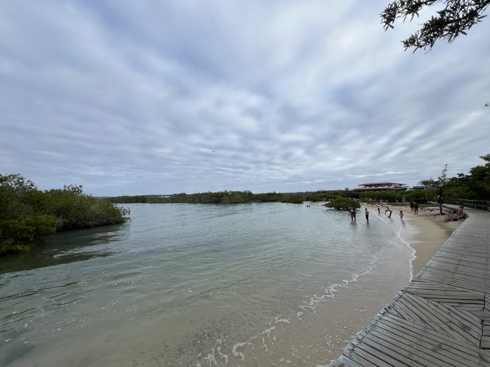 Viagem para Galápagos