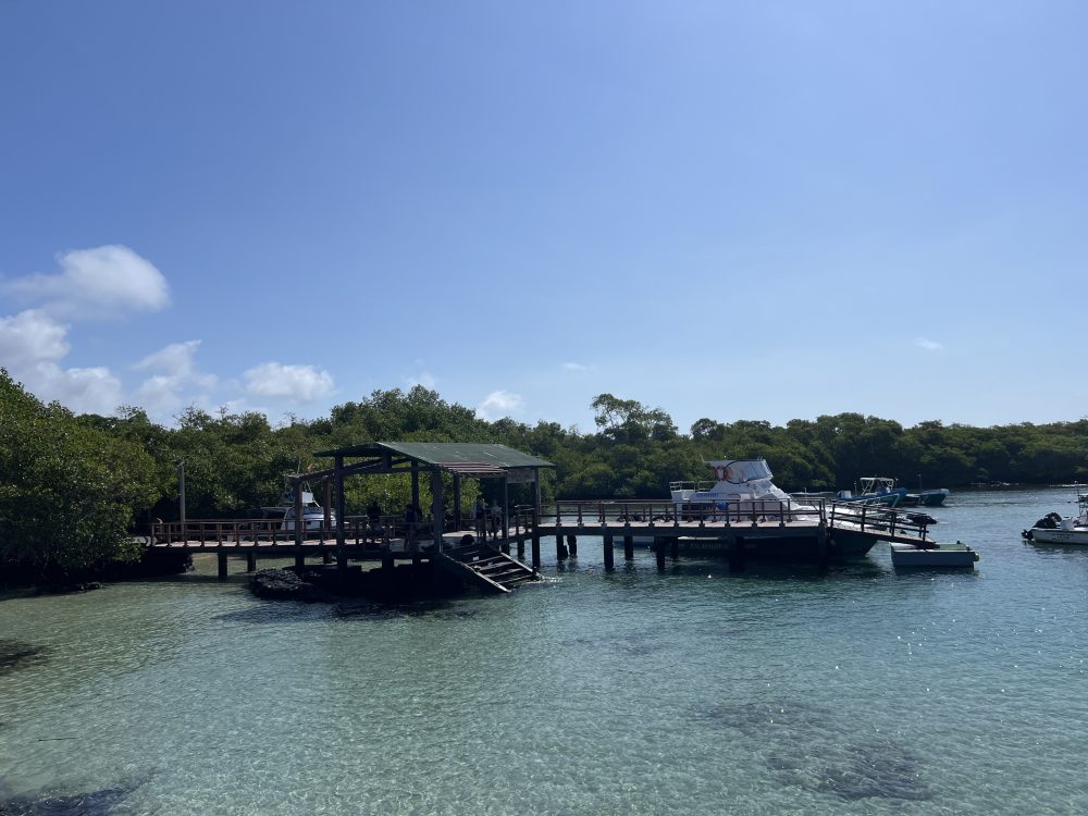 Viagem para Galápagos