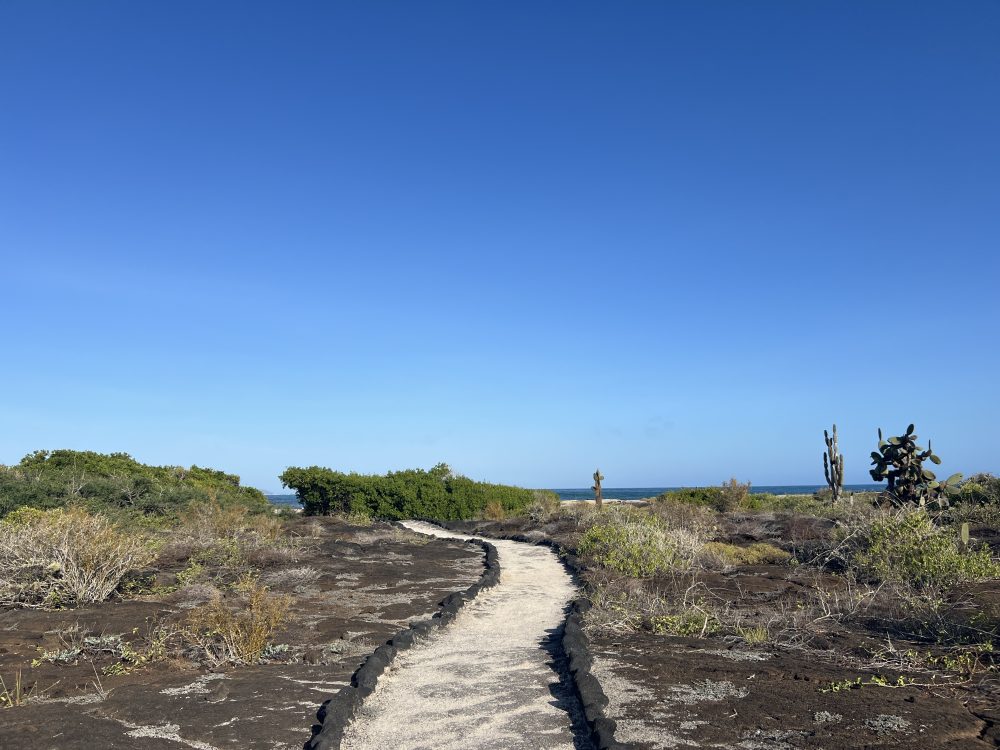 Viagem para Galápagos