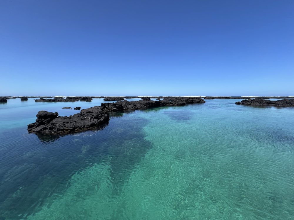 Viagem para Galápagos