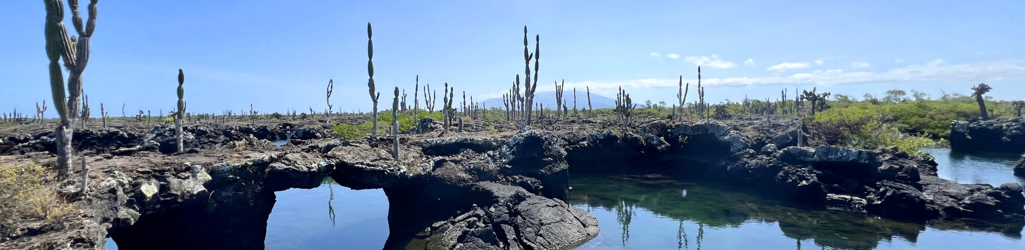 Viagem para Galápagos