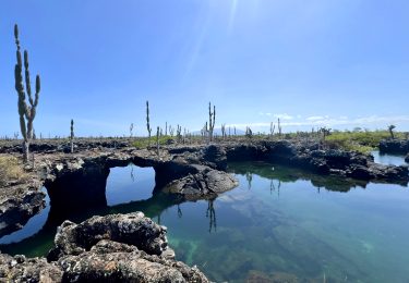 Viagem para Galápagos