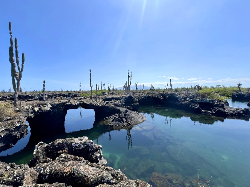 Viagem para Galápagos