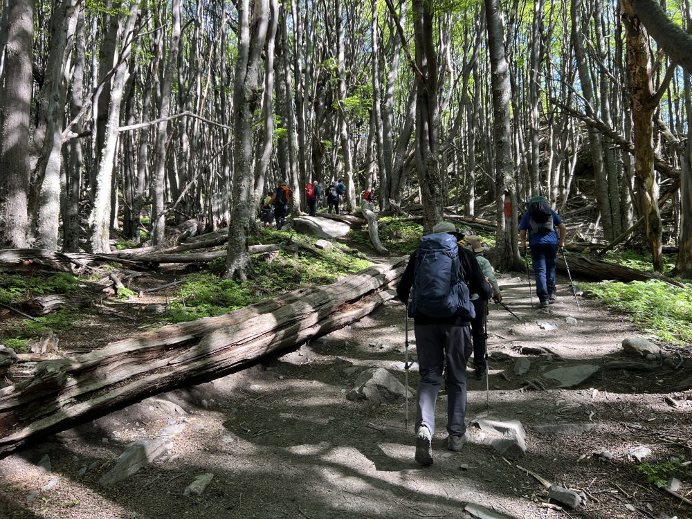 Trekking até a Base Torres del Paine