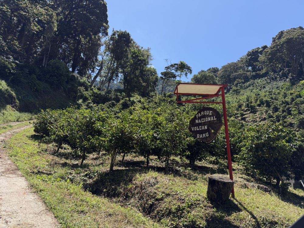 Boquete Panamá