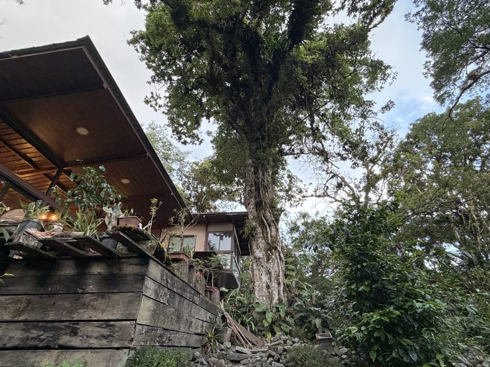 Hacienda Mamecillo Boquete Chiriquí