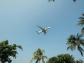 Como planejar uma viagem de avião
