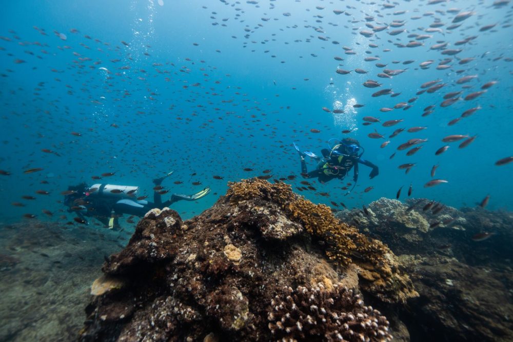 Parque Nacional Coiba